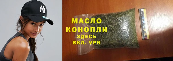 ешки Ельня