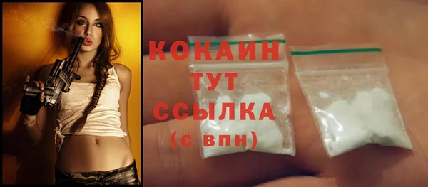 мдпв Елизово