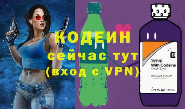 мдпв Елизово