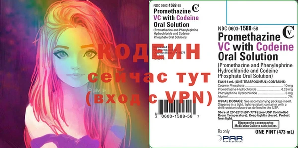 мдпв Елизово
