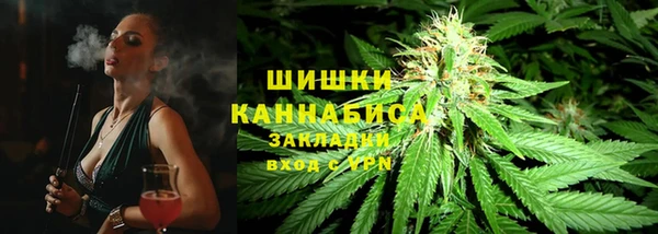мдпв Елизово