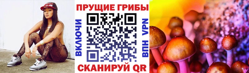 Галлюциногенные грибы мухоморы  дарк нет клад  Карабаново  купить наркоту 